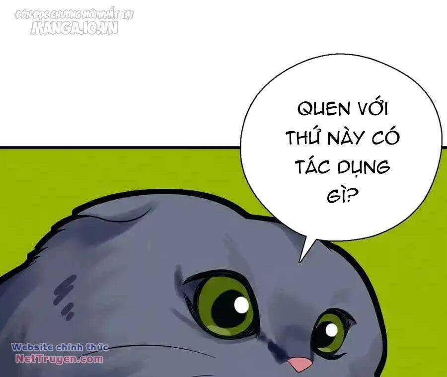Vợ Ơi, Xin Hãy Ngoan Ngoãn Nhé Chương 64 Ảnh 110