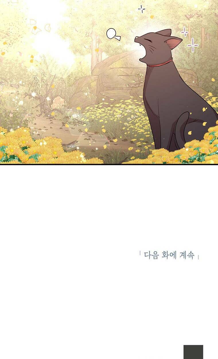 Công Tước, Loạn Vừa Thôi! Chương 128 Ảnh 69