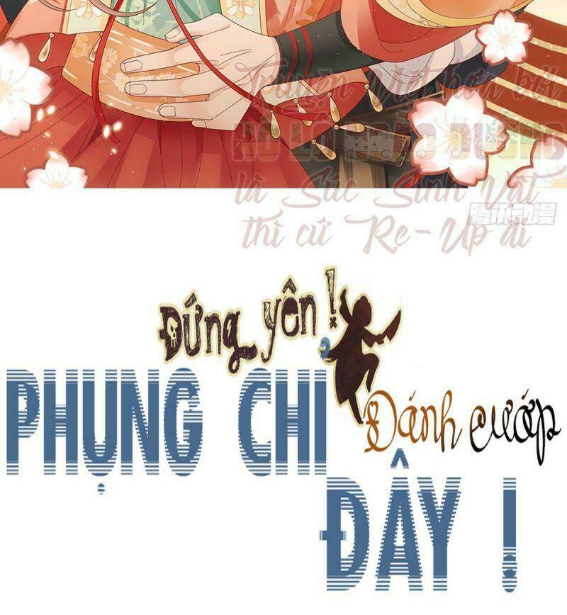 Đứng Yên ! Phụng Chỉ Đánh Cướp Đây Chương 30 Ảnh 3
