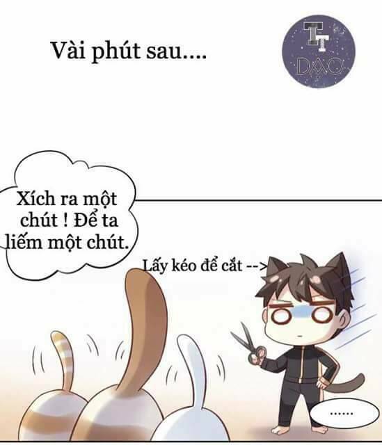 Dưới Móng Vuốt Mèo Chương 6 Ảnh 20