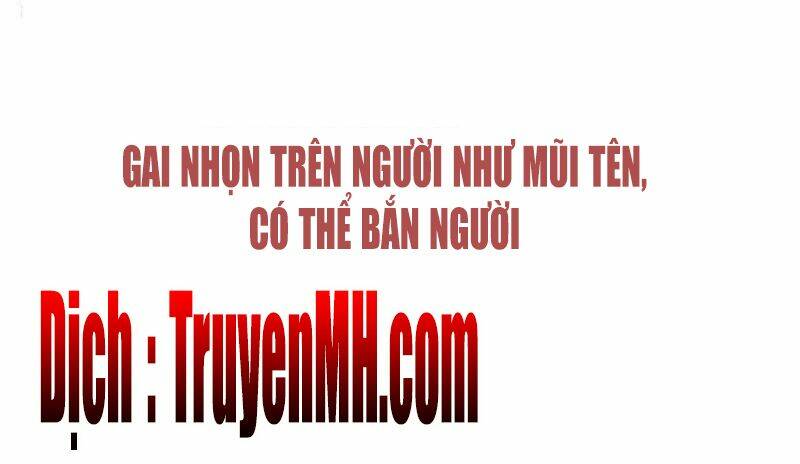 Bạo Lực Tiếu Thôn Cô Chương 38 Ảnh 15