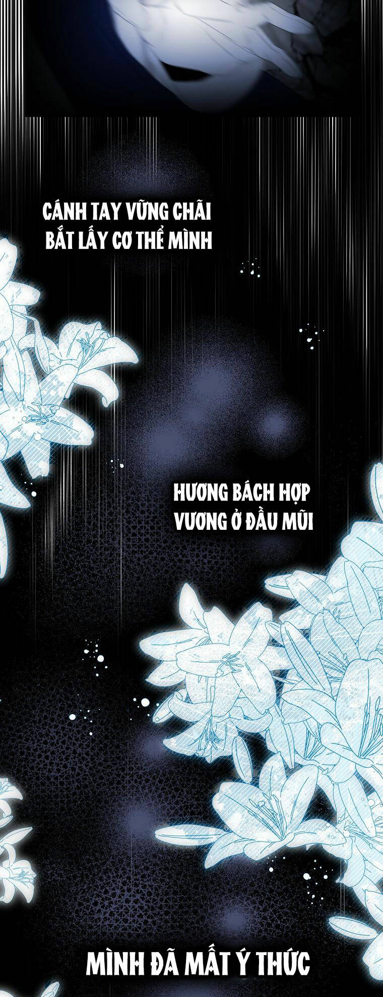 Nguyện Trở Thành Thanh Kiếm Trung Thành Bảo Vệ Em Chương 65.1 Ảnh 58