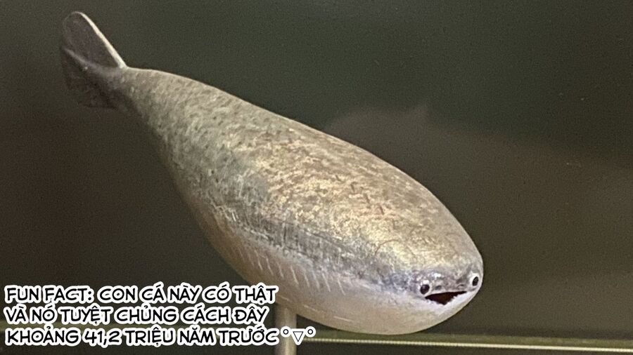Spis, Nhân Viên Bán Hàng Chương 1 Ảnh 3