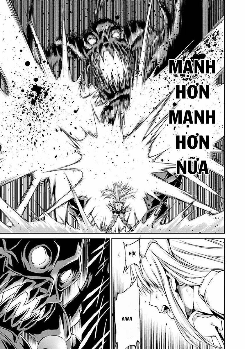 Dungeon Ni Deai Wo Motomeru No Wa Machigatte Iru Darou Ka Gaiden - Sword Oratoria Chương 16 Ảnh 26