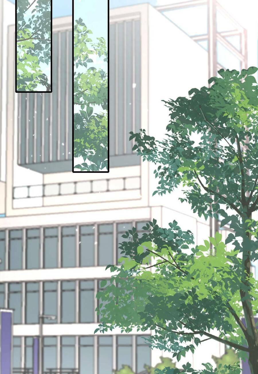 Hôn Nhân Hợp Đồng: Kết Hôn Với Thanh Mai Xảo Quyệt Chương 60 Ảnh 28