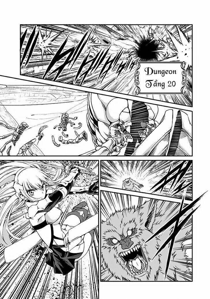 Dungeon Ni Deai Wo Motomeru No Wa Machigatte Iru Darou Ka Gaiden - Sword Oratoria Chương 6 Ảnh 42