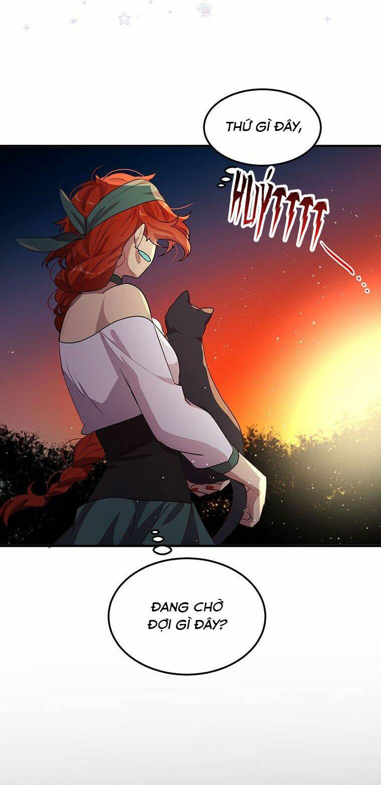 Công Tước, Loạn Vừa Thôi! Chương 121 Ảnh 24