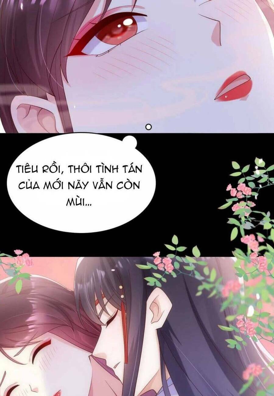 Ta Live Stream Ngược Đãi Nam Chính Chương 27 Ảnh 42