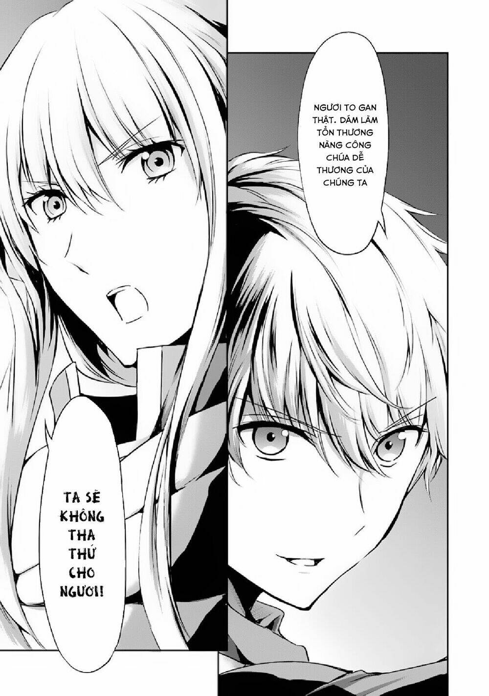 Dungeon Ni Deai Wo Motomeru No Wa Machigatte Iru Darou Ka Gaiden - Sword Oratoria Chương 13 Ảnh 51