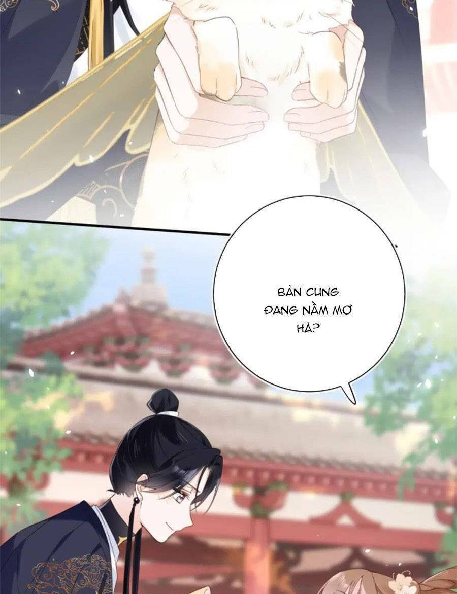 Lui Lui Lui Lui Ra! Chương 107 Ảnh 25