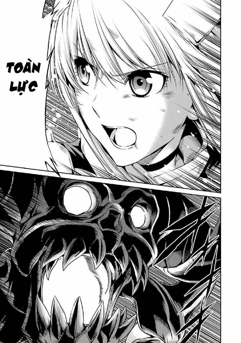 Dungeon Ni Deai Wo Motomeru No Wa Machigatte Iru Darou Ka Gaiden - Sword Oratoria Chương 16 Ảnh 21