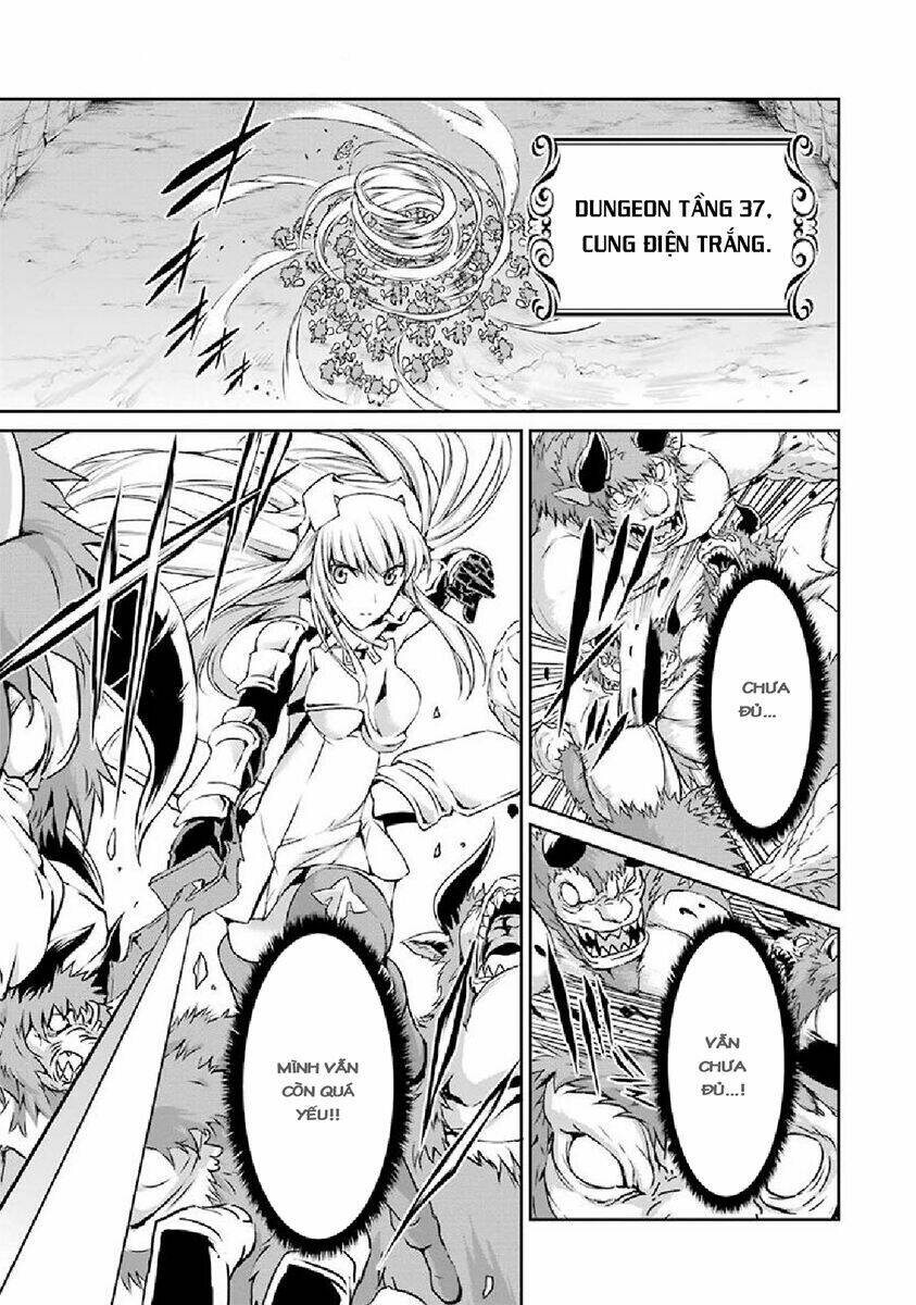 Dungeon Ni Deai Wo Motomeru No Wa Machigatte Iru Darou Ka Gaiden - Sword Oratoria Chương 14 Ảnh 27