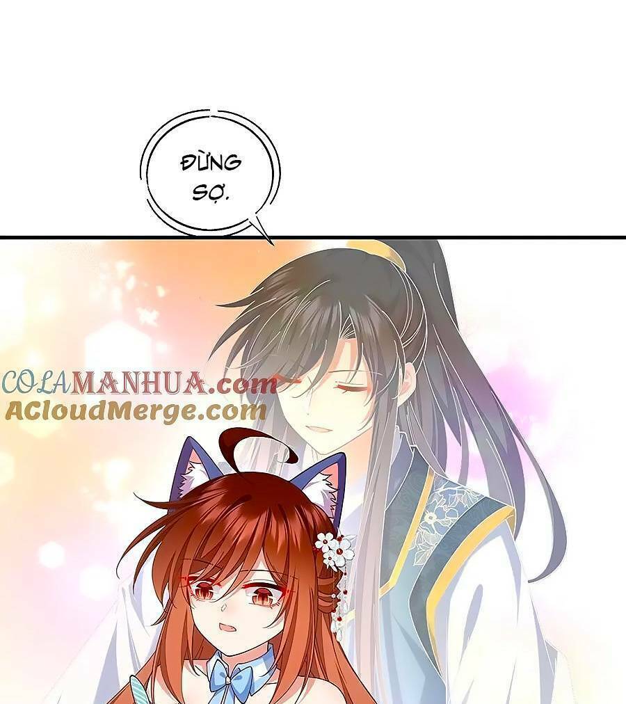 Manh Sư Tại Thượng Chương 491 Ảnh 3