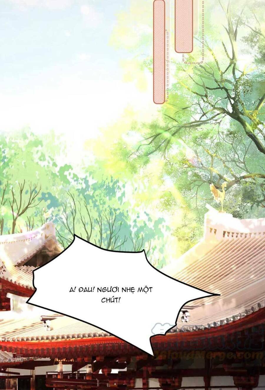 Xuyên Qua Làm Vương Phi Xinh Đẹp Của Vương Gia Chương 41 Ảnh 20