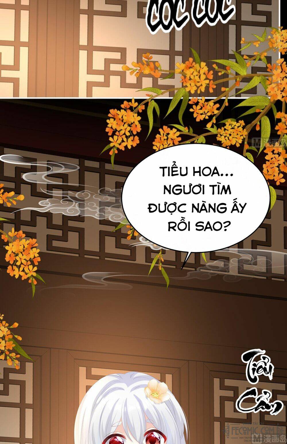Kiều Phu Có Hỉ Chương 66 Ảnh 24