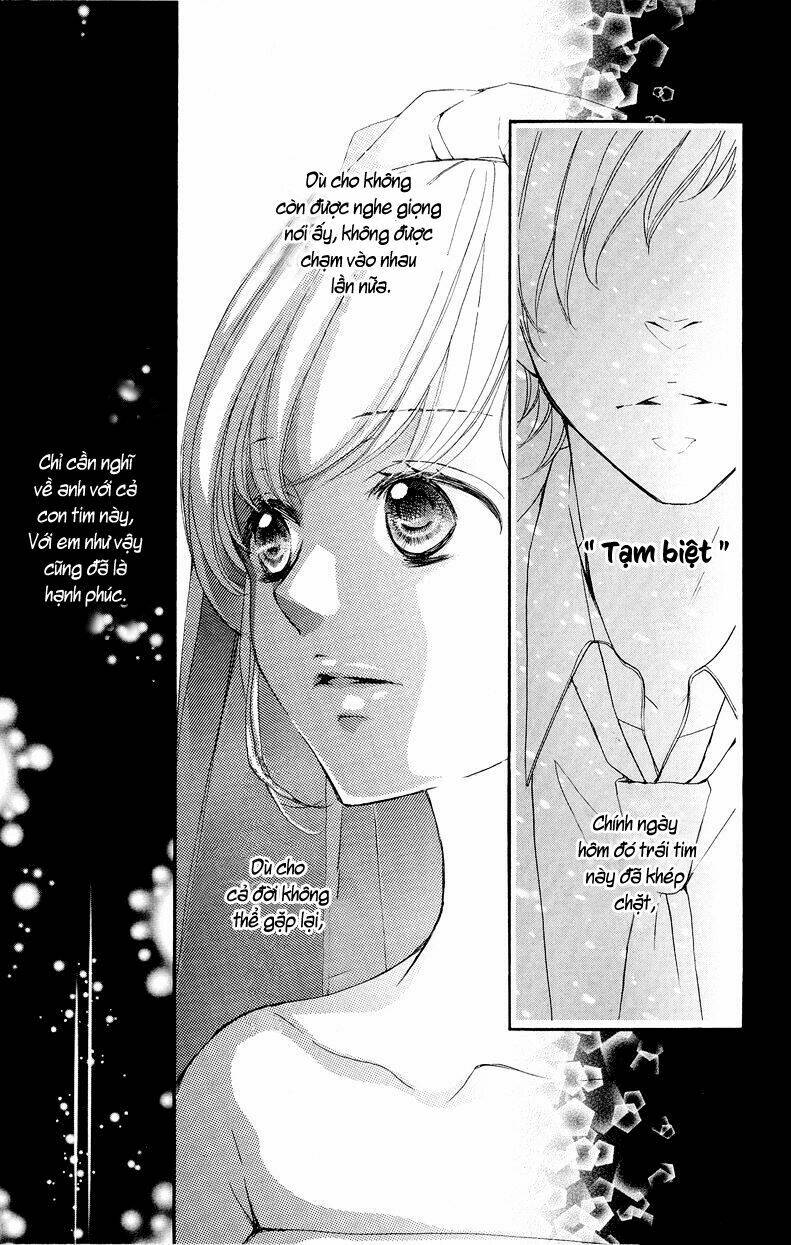 True Love Chương 37 Ảnh 17