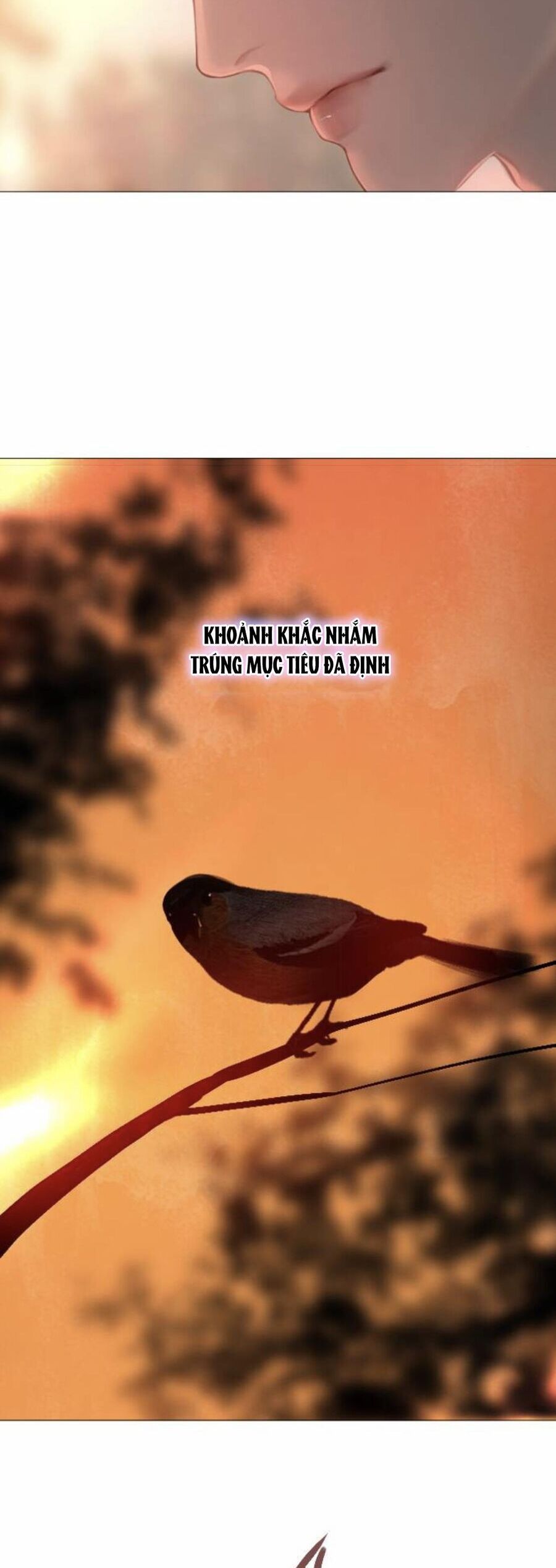 Khóc Đi, Hay Cầu Xin Tôi Cũng Được Chương 23 Ảnh 49