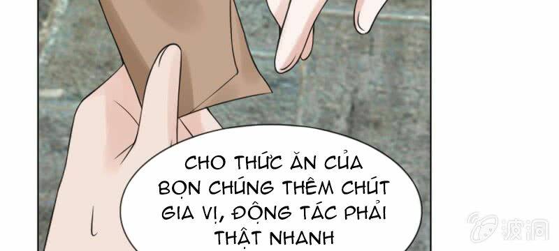 Loạn Thế Đế Hậu Chương 59 Ảnh 31