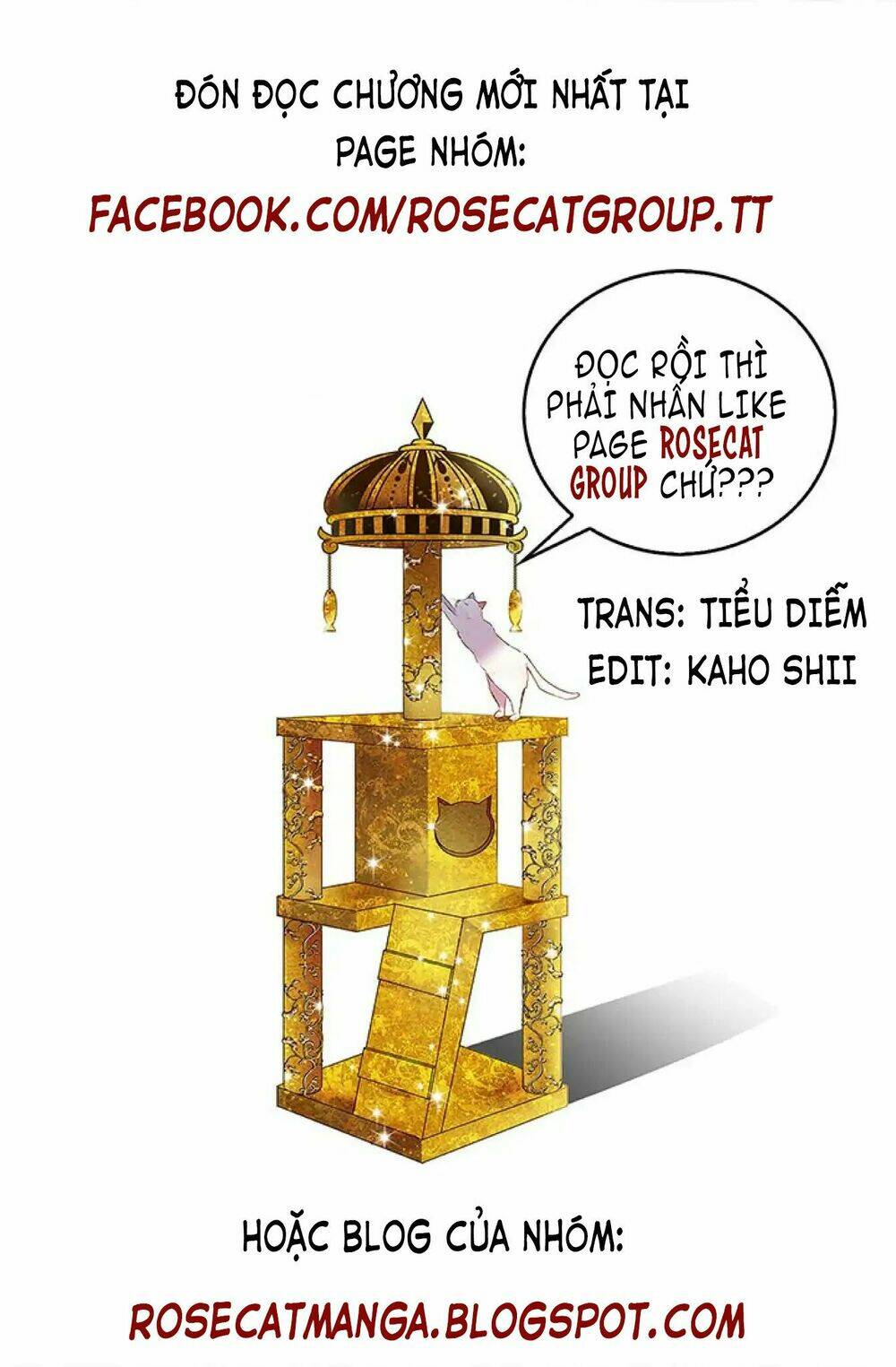 Cô Dâu Của Miêu Hoàng Tử Chương 0 Ảnh 16