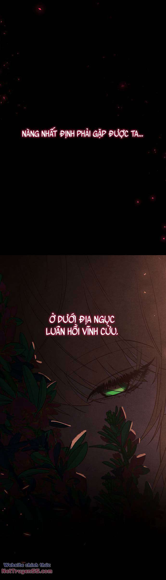 Vương Tử Huyền Bí Chương 110 Ảnh 52