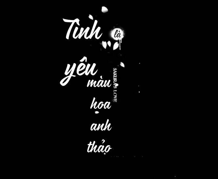 Tình Yêu Là Màu Hoa Anh Thảo Chương 31.2 Ảnh 2