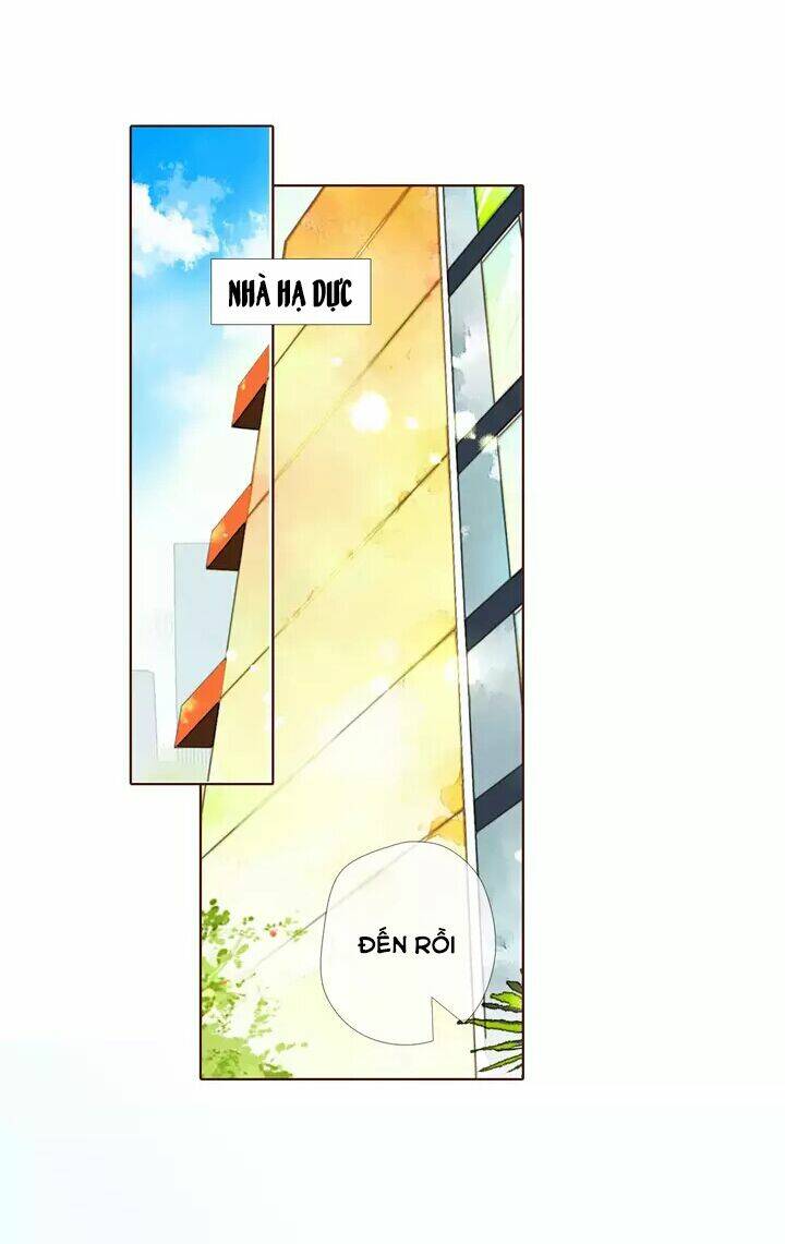 Tình Yêu Là Màu Hoa Anh Thảo Chương 30.2 Ảnh 6