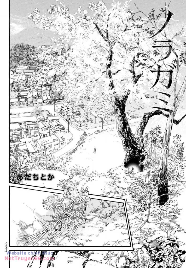 Noragami Chương 109 Ảnh 5
