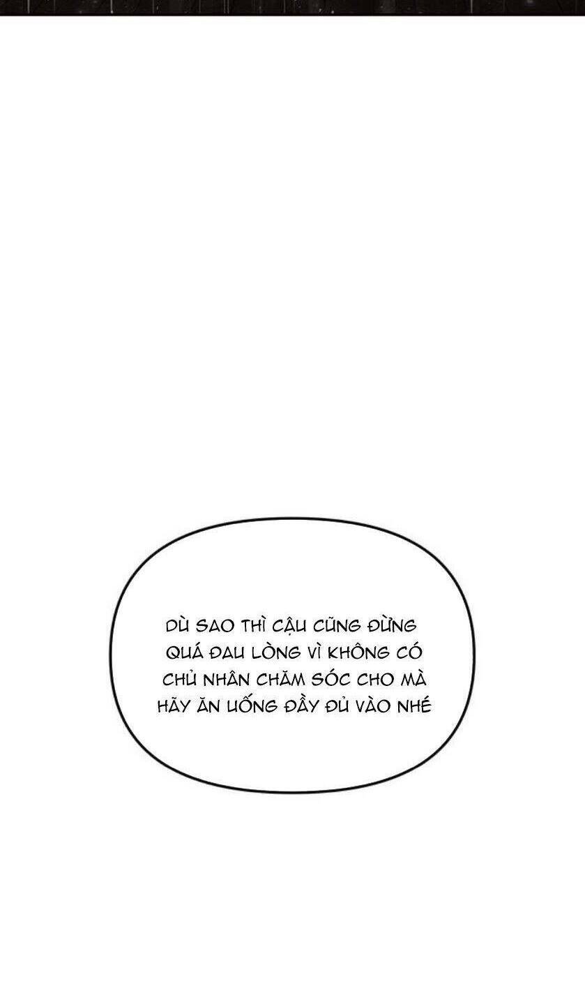 Vương Tử Huyền Bí Chương 95 Ảnh 101