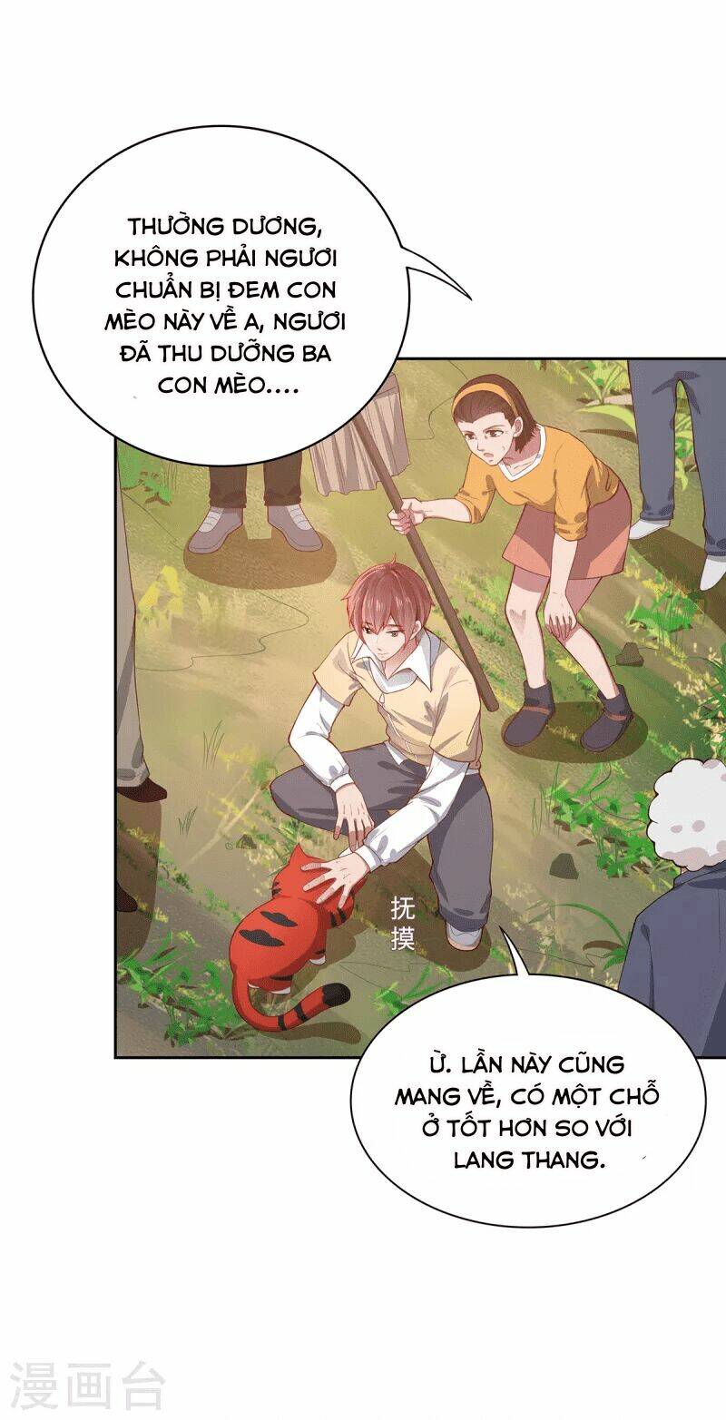 Ta Vốn Là Mèo Chương 2 Ảnh 12
