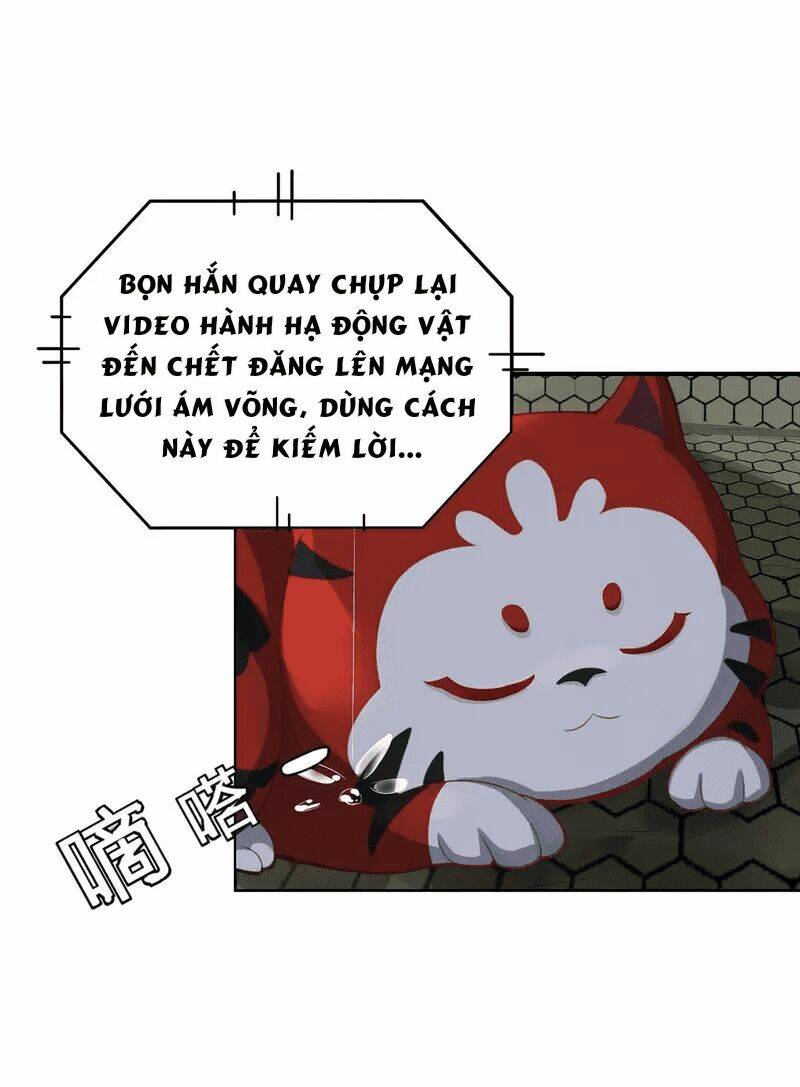 Ta Vốn Là Mèo Chương 1.5 Ảnh 4