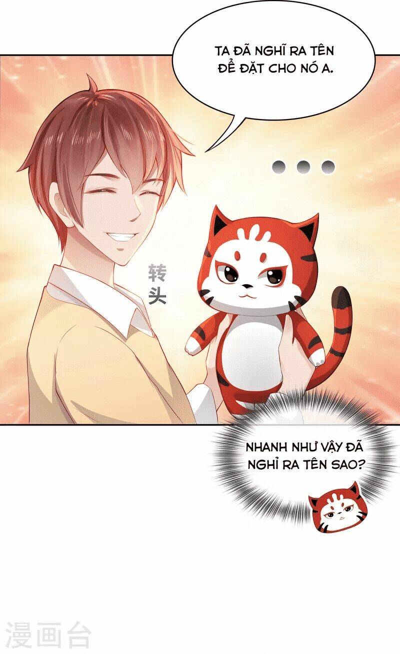 Ta Vốn Là Mèo Chương 2 Ảnh 16