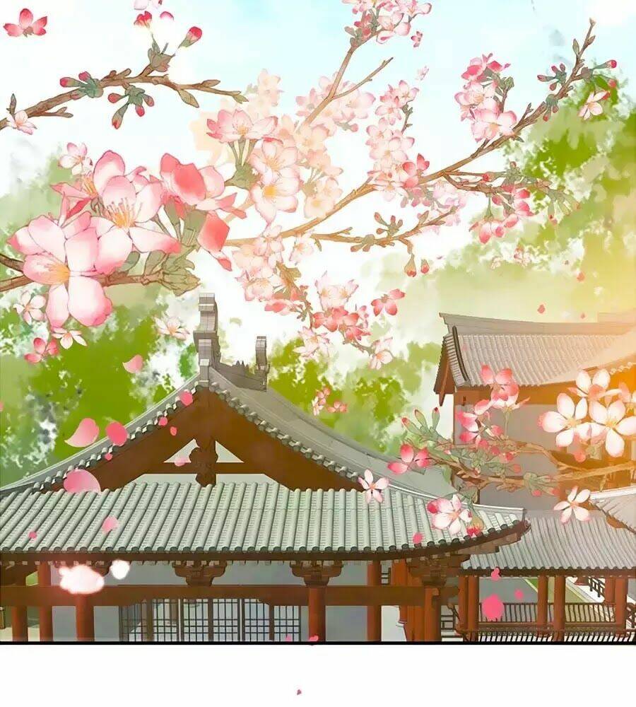 Thịnh Thế Lê Hoa Điện Chương 89 Ảnh 29