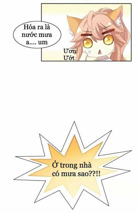 Dưới Móng Vuốt Mèo Chương 10 Ảnh 20