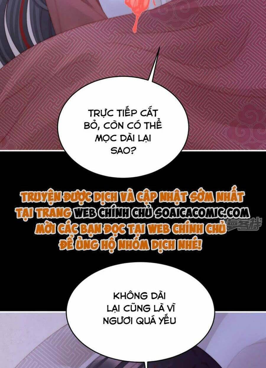 Thê Chủ, Thỉnh Hưởng Dụng Chương 85 Ảnh 47