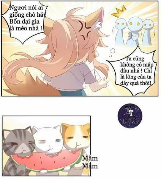 Dưới Móng Vuốt Mèo Chương 10 Ảnh 12