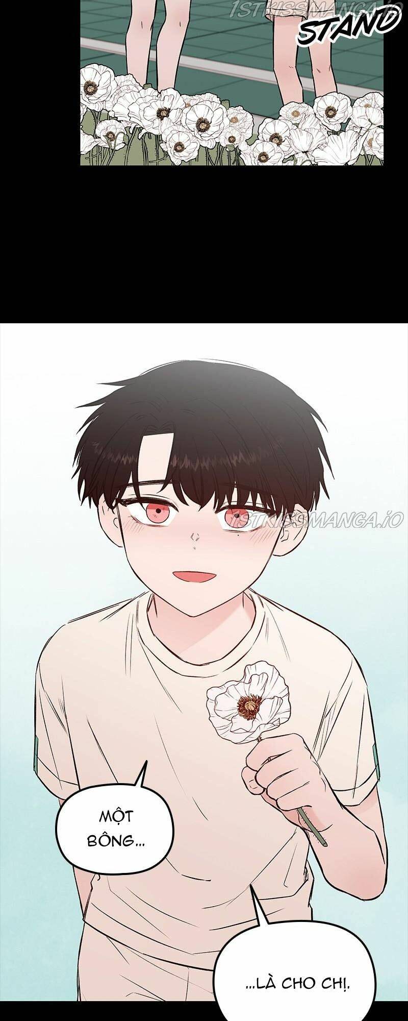 BưƠM BưỚM Và MáU Chương 57 Ảnh 14