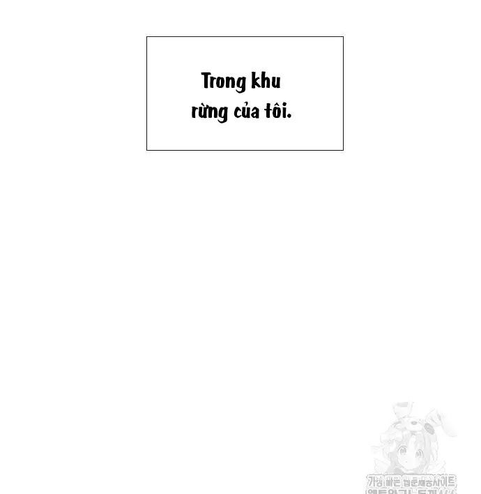 Khóc Đi, Hay Cầu Xin Tôi Cũng Được Chương 29 Ảnh 149