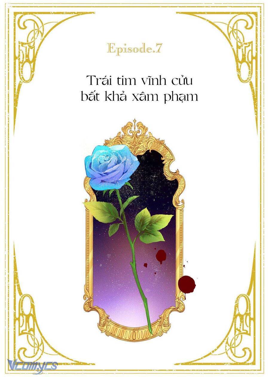 Hoa Hồng Ẩn Giấu Sao Băng Chương 7 Ảnh 4