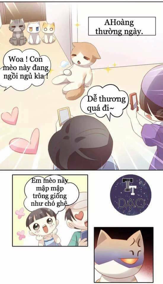 Dưới Móng Vuốt Mèo Chương 10 Ảnh 11