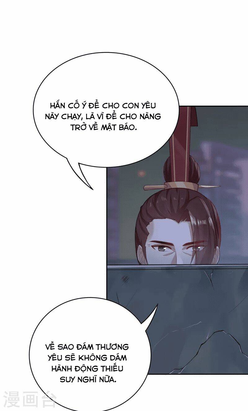 Ta Vốn Là Mèo Chương 4 Ảnh 31