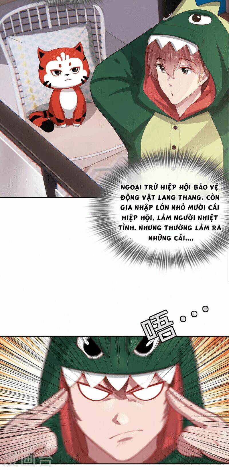 Ta Vốn Là Mèo Chương 2 Ảnh 29