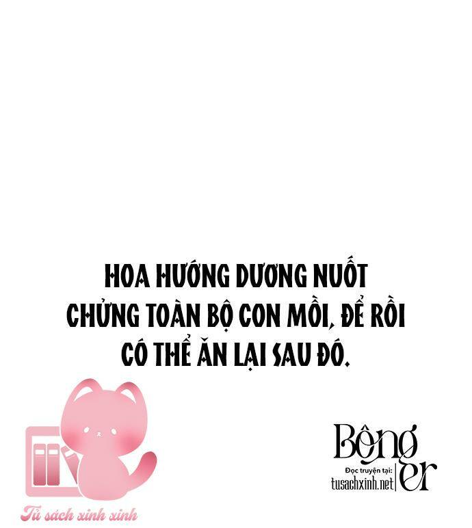 Đêm Của Bóng Tối Chương 50 Ảnh 12
