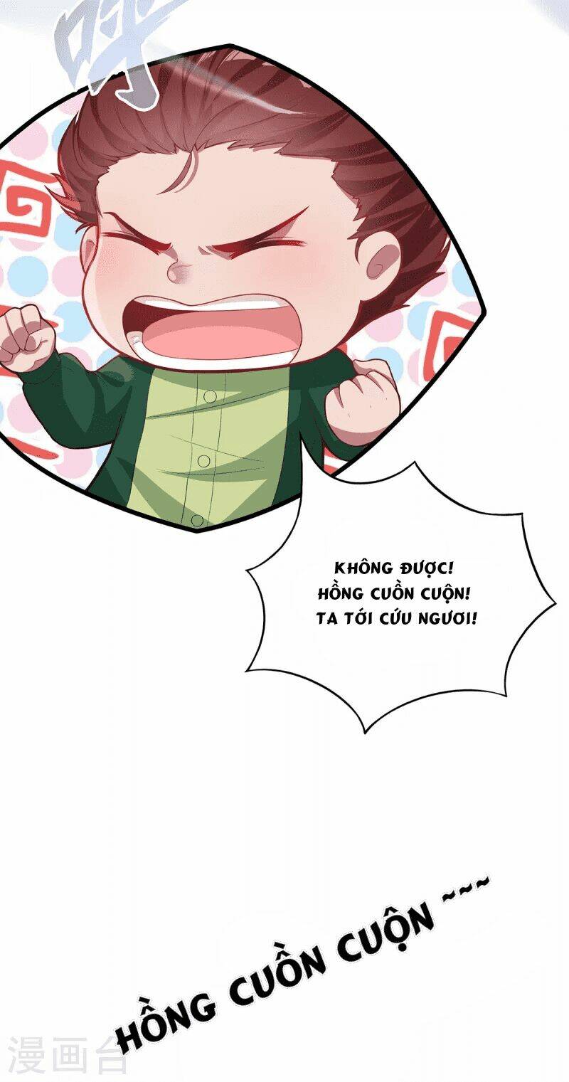 Ta Vốn Là Mèo Chương 3 Ảnh 51