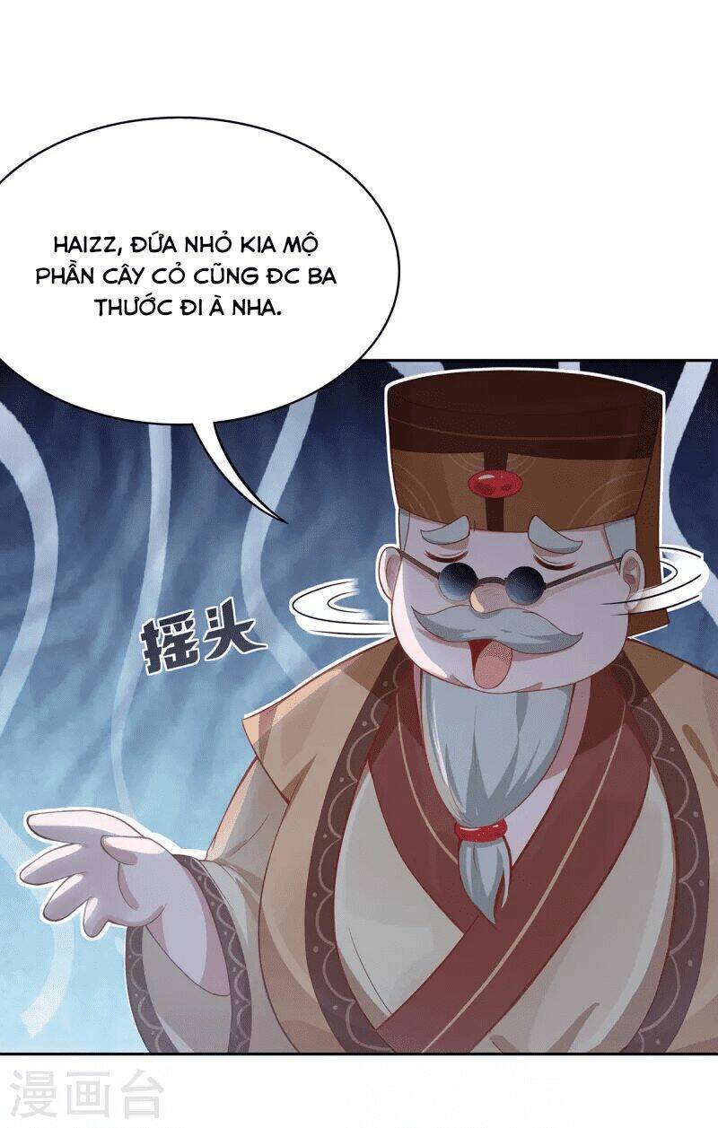 Ta Vốn Là Mèo Chương 4 Ảnh 56