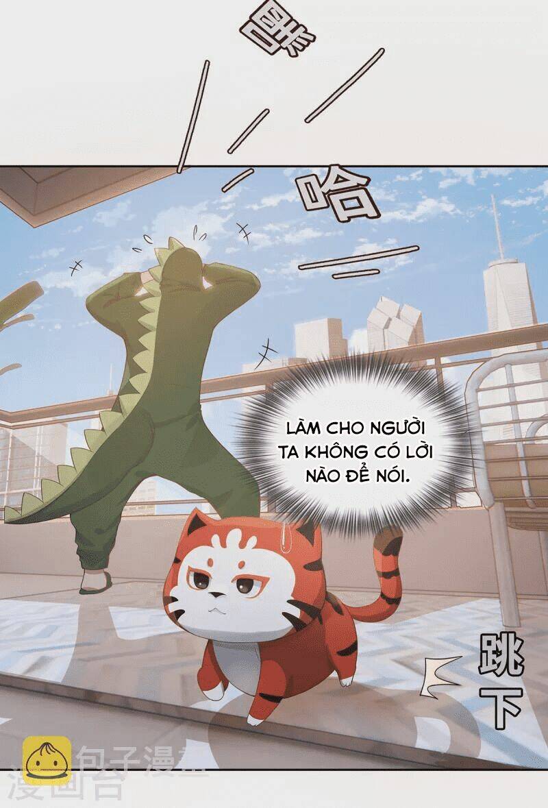 Ta Vốn Là Mèo Chương 2 Ảnh 33