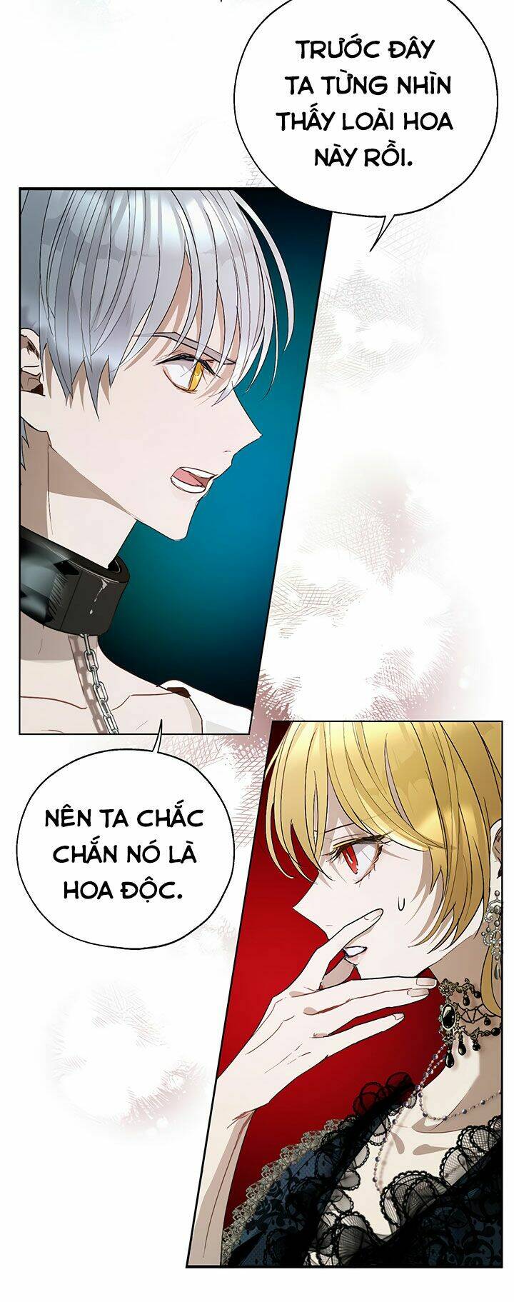 Cách Bảo Vệ Anh Trai Của Nữ Chính Chương 20 Ảnh 8