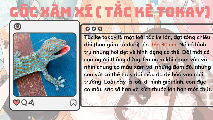 Những Cô Gái Thuộc Loại Bò Sát Chương 4 Ảnh 26