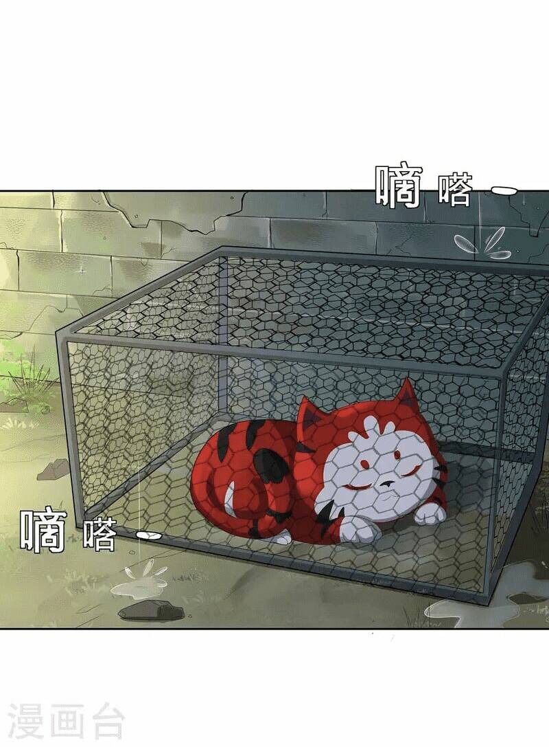 Ta Vốn Là Mèo Chương 1.5 Ảnh 5