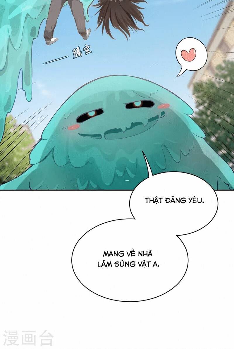 Ta Vốn Là Mèo Chương 5 Ảnh 13