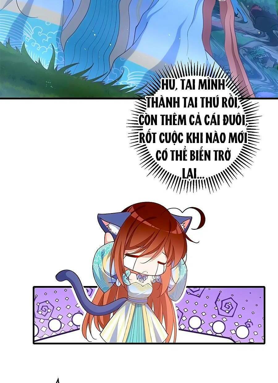 Manh Sư Tại Thượng Chương 471 Ảnh 4